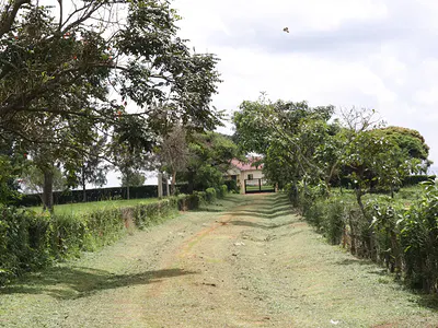 63 Acres of Farm Land and 2 Houses for Sale — Mwenge County Miranga Village, Kyenjojo, Western Region