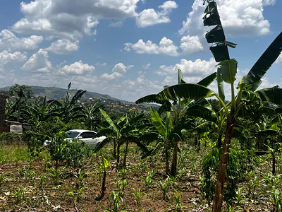 Residential Plots — Rwemirabyo, Biharwe, Mbarara, Western Region