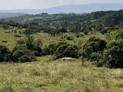 116 Acres of Freehold Land — Off the Mbarara-Ibanda Rd, Mbarara, Western Region